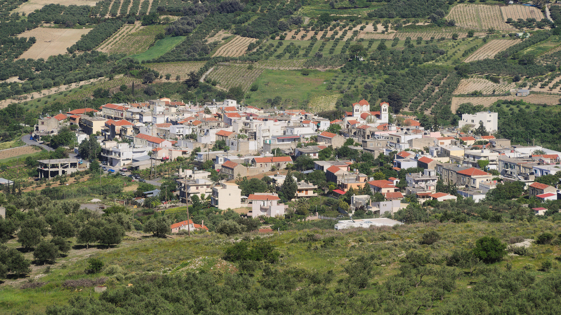 Avgeniki